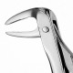 74N Extraction Dental Forceps