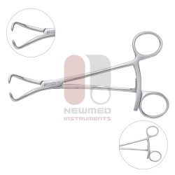 クワガタムシ鉗子