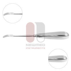 Aufricht Glabellar Rasp – Cutting Serrations