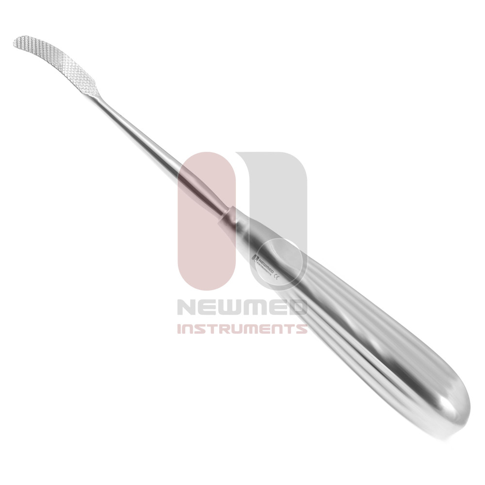 Aufricht Glabellar Rasp – Cutting Serrations