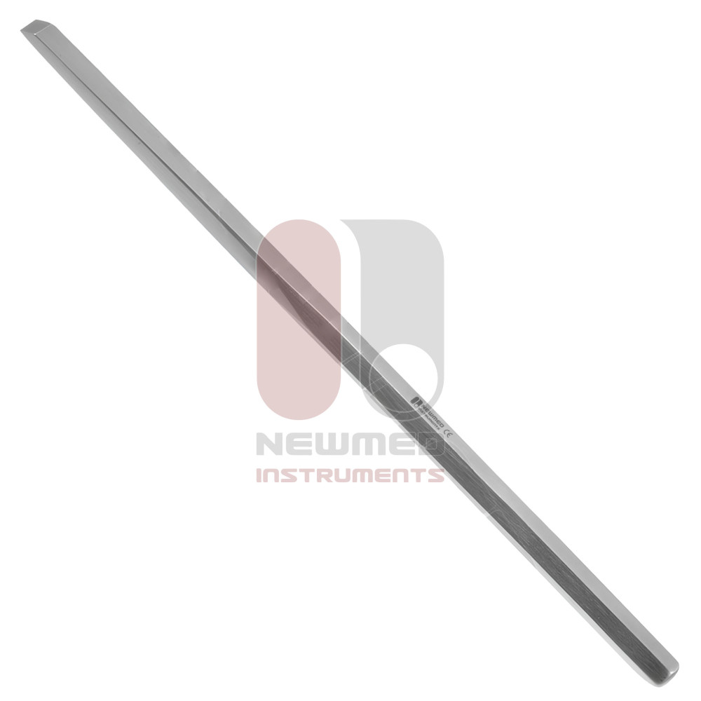 Bishop mastoid keski