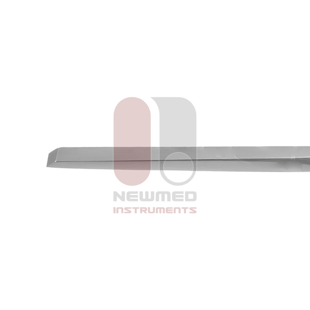 Bishop mastoid keski