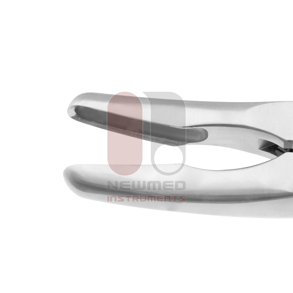 Beyer-Stille Rongeur Mordida Curva