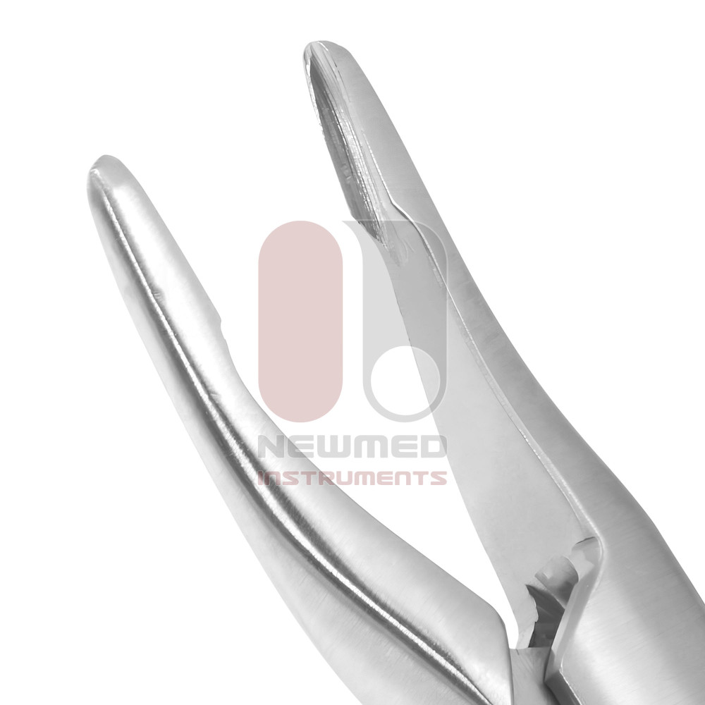 Kleinert Kutz Rongeuse