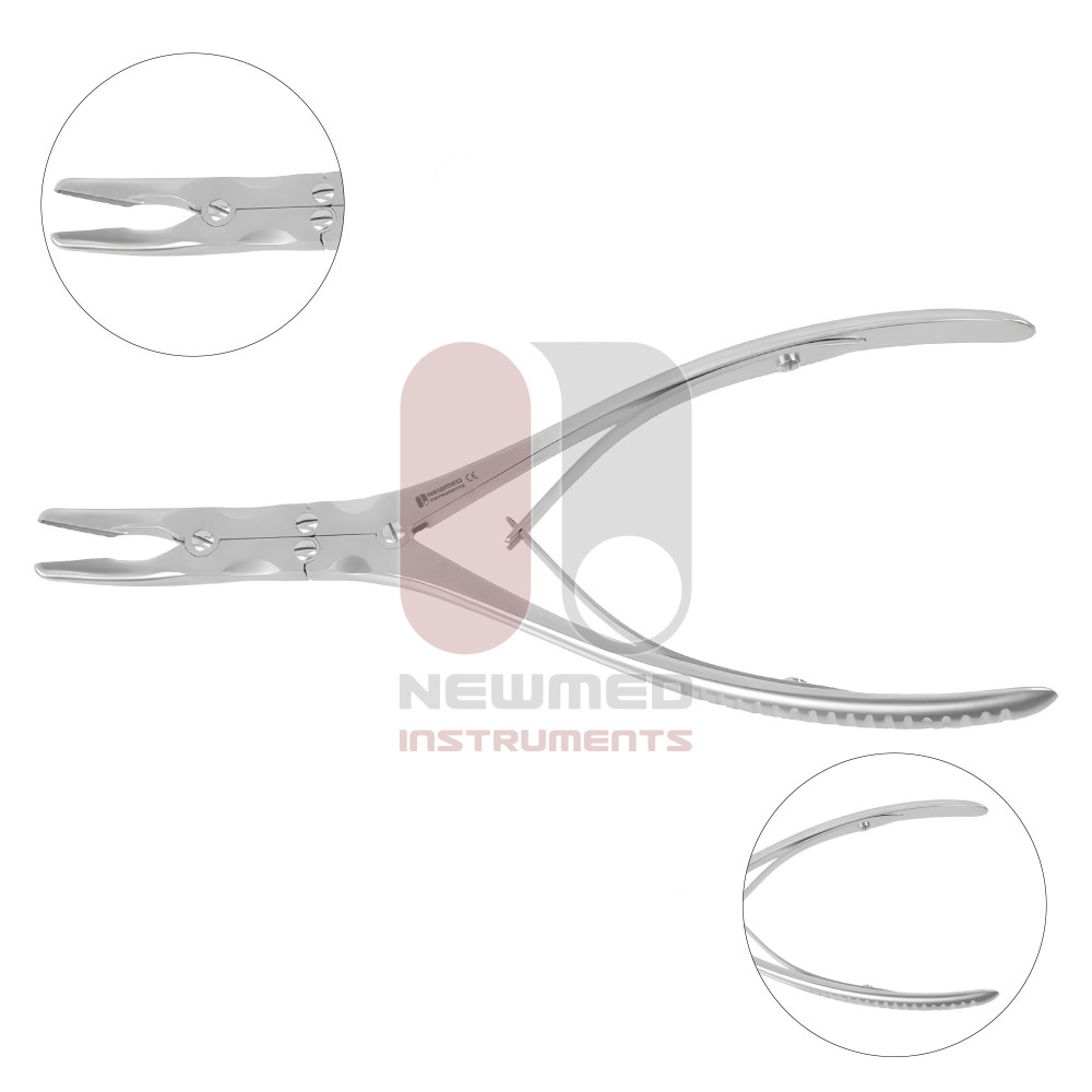 Марквардт Слегка изогнутый двойной грызун