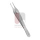 Derlacki Ossicle Holding Clamp Derlacki Ossicle Holding Clamp