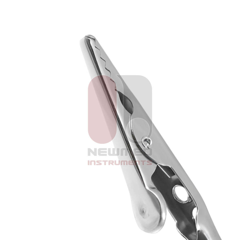 Guilford-Wright Clip Guilford-Wright Clip