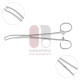 White Tonsil Grasping Forceps, 18 cm - 7 inches, Stainless Steel 