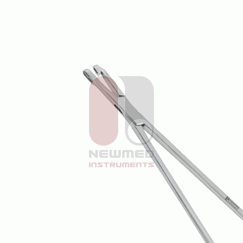 Pinça de biópsia Schubert, aço inoxidável, 28 cm, tamanho da mordida 4,8 mm