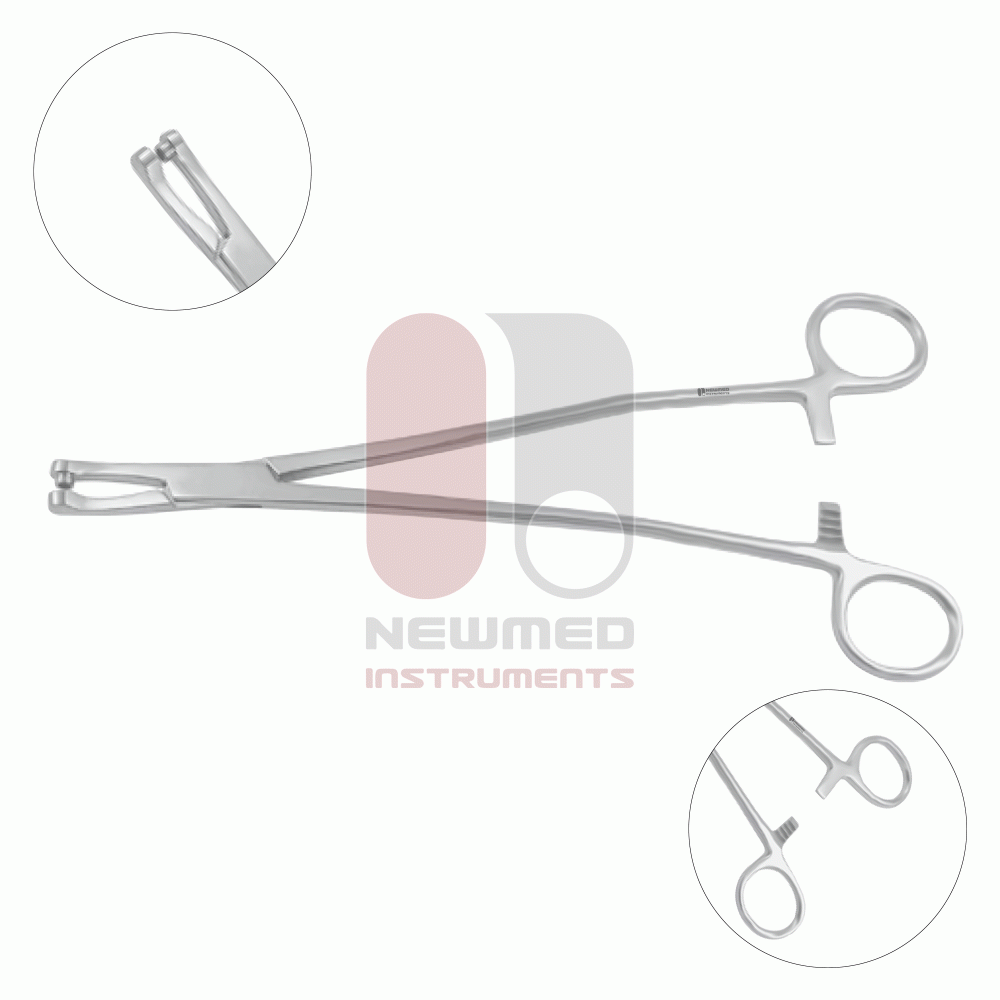 Pince à biopsie Thomas-Gaylor, taille de morsure 5,6 mm, acier inoxydable