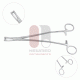 Pince à biopsie Thomas-Gaylor, taille de morsure 5,6 mm, acier inoxydable