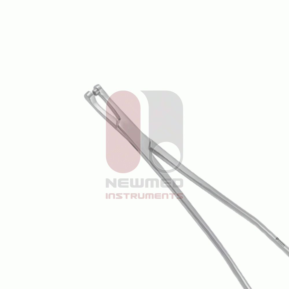 Pince à biopsie Thomas-Gaylor, taille de morsure 5,6 mm, acier inoxydable