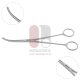 Dennis Browne Dissector Dennis Browne Dissector