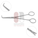 Waterson’s Dissector Waterson’s Dissector