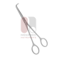 Waterson’s Dissector Waterson’s Dissector