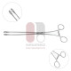 K-P Ring Forceps, Short K-P Ring Forceps, Short
