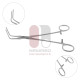Plaque Remover Forceps