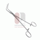 Plaque Remover Forceps