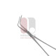 Plaque Remover Forceps
