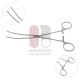 DeBakey-Castaneda Anastomosis Clamp DeBakey-Castaneda Anastomosis Clamp