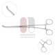 Pinzas para apéndice auricular de Cooley