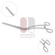 Cooley Lliac Clamp Cooley Lliac Clamp
