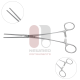 Dale Fem-Pop Anastomosis Clamp Dale Fem-Pop Anastomosis Clamp