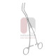 Lee Bronchus Clamp Lee Bronchus Clamp