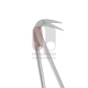 Beall Circumflex Scissors Beall Circumflex Scissors