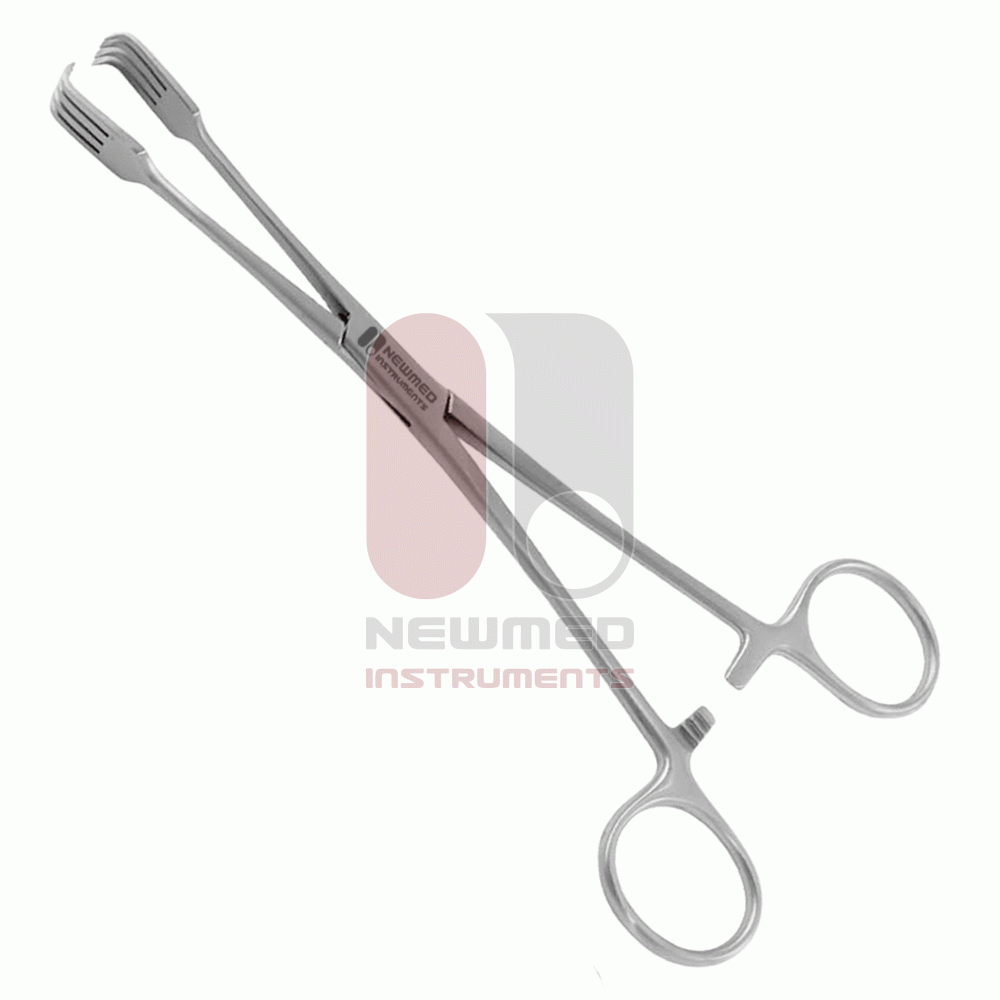 Pince à tenaculum de Czerny, acier inoxydable, 21 cm
