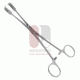 Pince à tenaculum de Czerny, acier inoxydable, 21 cm