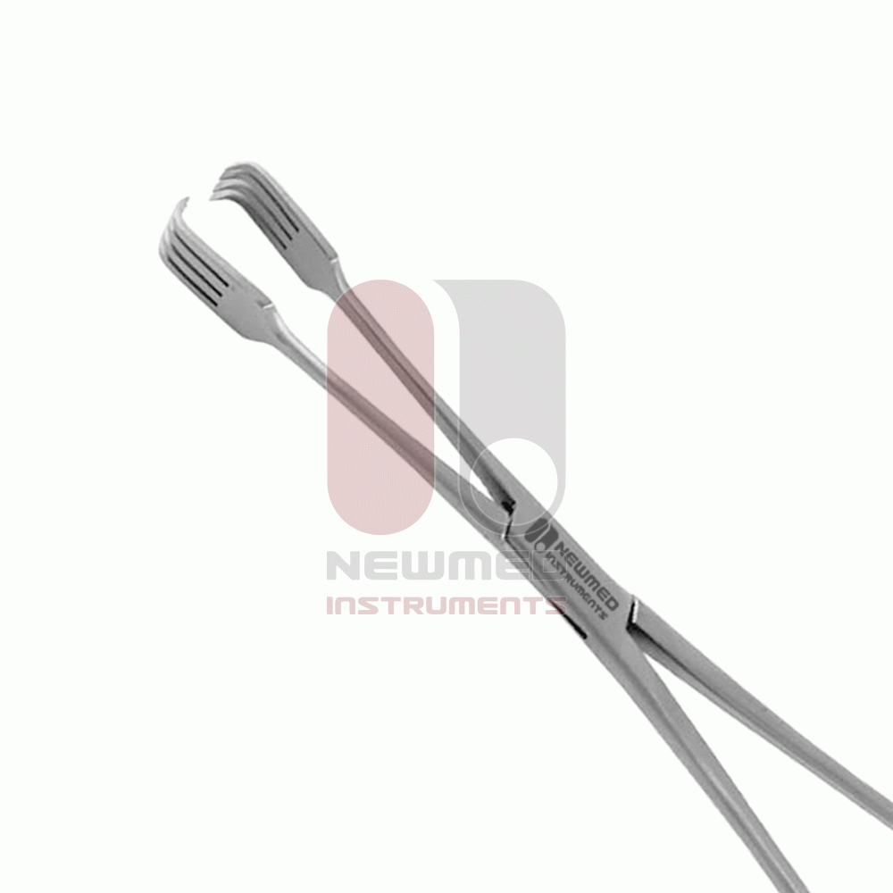 Pince à tenaculum de Czerny, acier inoxydable, 21 cm