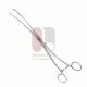 Duplay Tenaculum-Zange, 25,5 cm, Edelstahl