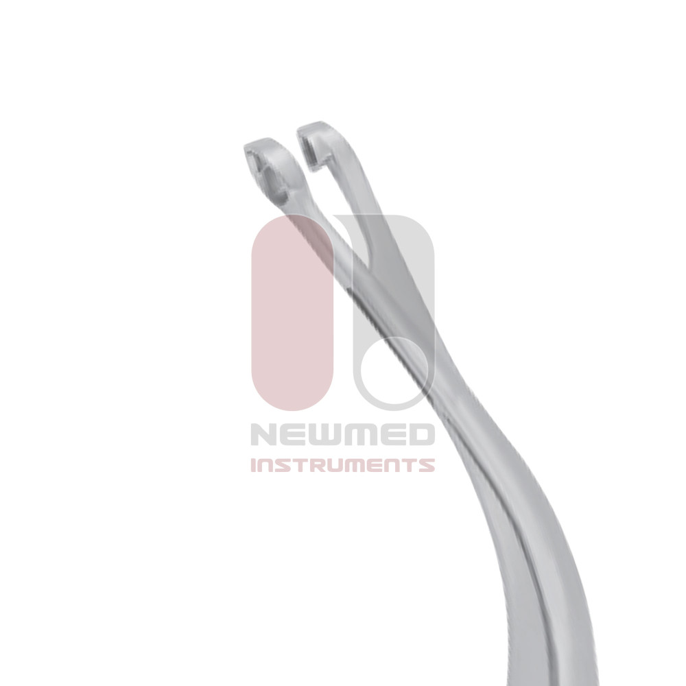 Faure Biyopsi Forsepsi, 21 cm, 8,4 mm Paslanmaz Çelik