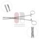 Pinça Jacobs Tenaculum 2x2 Dentes, Aço Inoxidável, 21cm Pinça Jacobs Tenaculum 2x2 Dentes, Aço Inoxidável, 21cm
