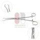 Pinça Skene Tenaculum, 24 cm, Aço Inoxidável Pinça Skene Tenaculum, 24 cm, Aço Inoxidável