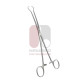 Pinça Skene Tenaculum, 24 cm, Aço Inoxidável Pinça Skene Tenaculum, 24 cm, Aço Inoxidável