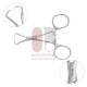 Backhaus Towel Clamp Forceps - With Clip Backhaus Towel Clamp Forceps - With Clip