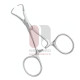 Backhaus Towel Clamp Forceps - With Clip Backhaus Towel Clamp Forceps - With Clip