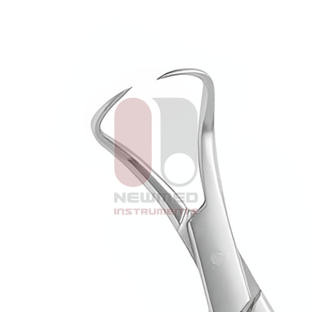 Backhaus Towel Clamp Forceps - With Clip Backhaus Towel Clamp Forceps - With Clip