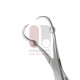 Backhaus-Roeder Towel Clamp Forceps