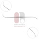 Barr Fistula Probe Barr Fistula Probe