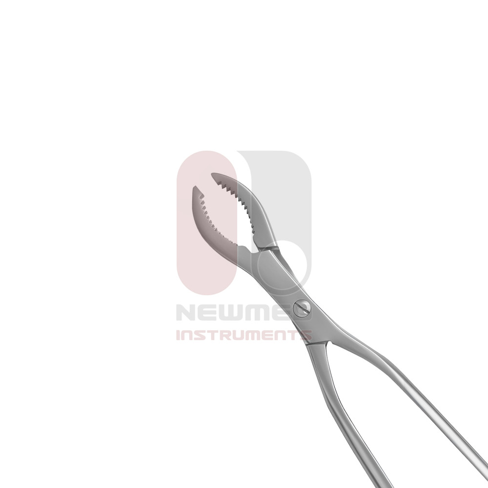 Hey Groove Bone Holding Forcep Hey Groove Bone Holding Forcep