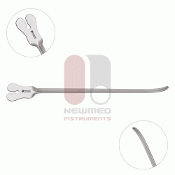 グルーヴド・ディレクター