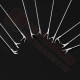 Micro Laryngeal Forceps and Scissors Set Micro Laryngeal Forceps and Scissors Set