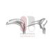 Scherbak Vaginal Speculum Scherbak Vaginal Speculum