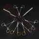 Tympanoplasty Micro Ear Surgery Set No 2 Tympanoplasty Micro Ear Surgery Set No 2