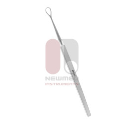 New Orleans Lens Loop