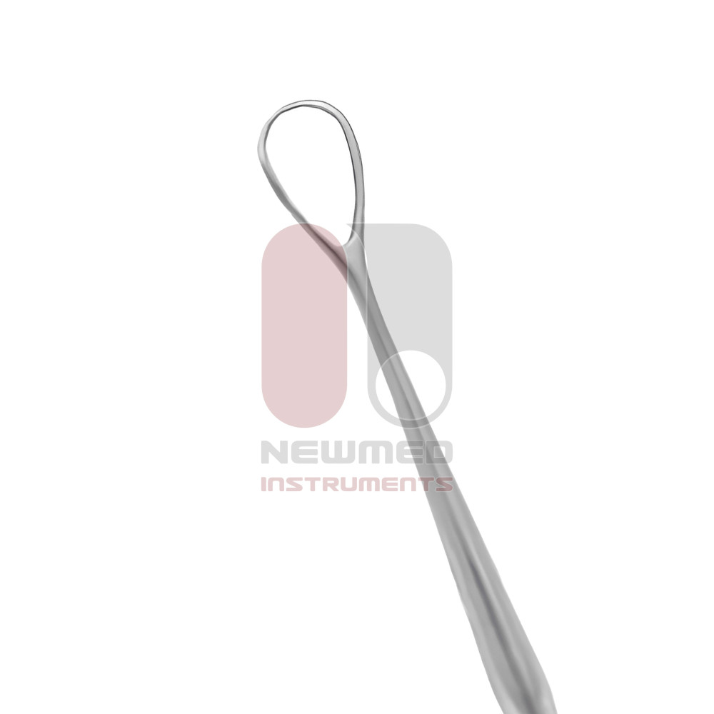 New Orleans Lens Loop