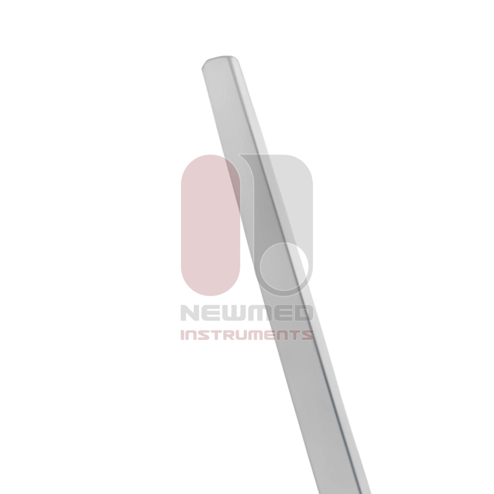 New Orleans Lens Loop